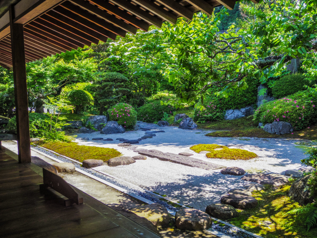 How to Make Your Japan Trip Japandi: A Journey of Silence, Craft, and Sanctuary